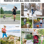Hands-Free Bungee Dog Leash with Waist Belt