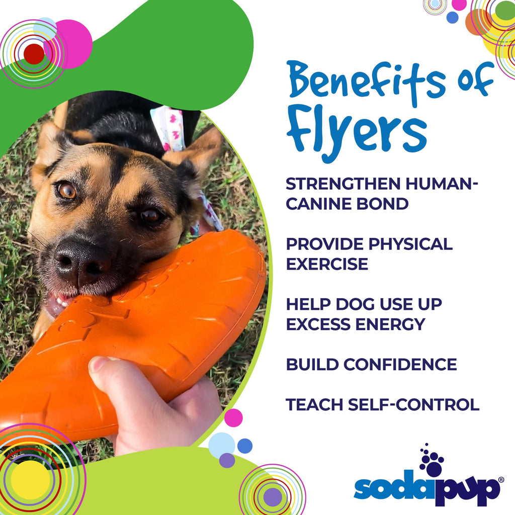 SodaPup Bottle Top Flyer — Rubber Fetch Disc