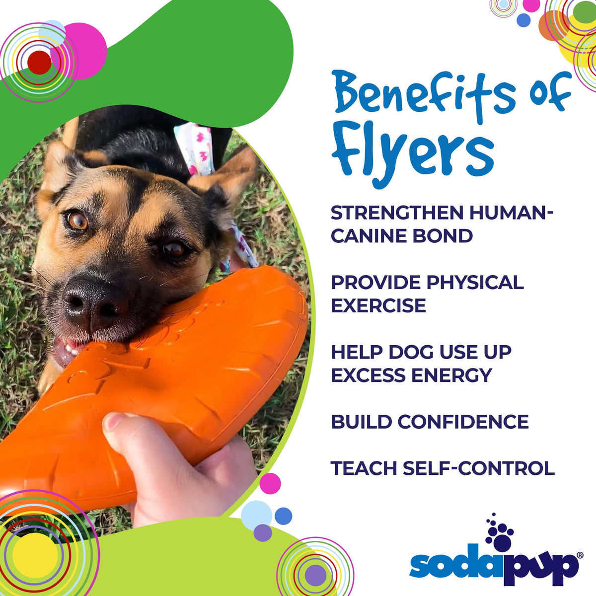 SodaPup Bottle Top Flyer — Rubber Fetch Disc