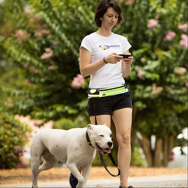 Hands-Free Bungee Dog Leash with Waist Belt