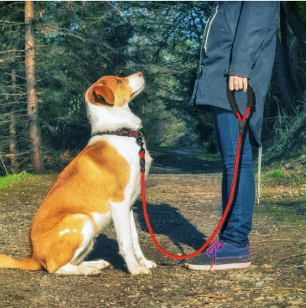 Reflective Rope Dog Leash