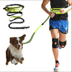 Hands-Free Bungee Dog Leash with Waist Belt