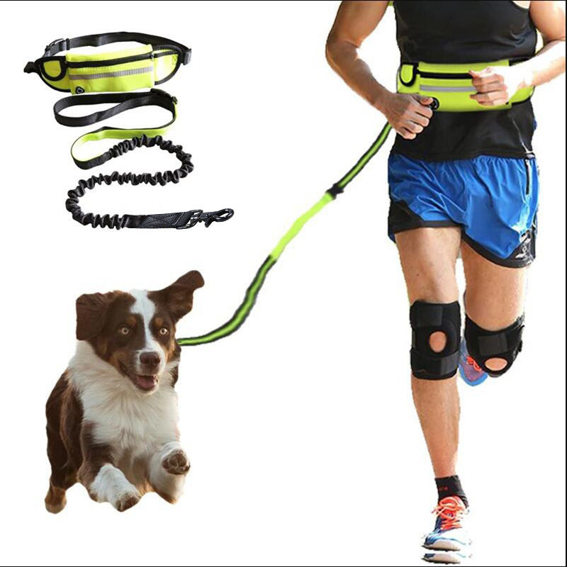 Hands-Free Bungee Dog Leash with Waist Belt