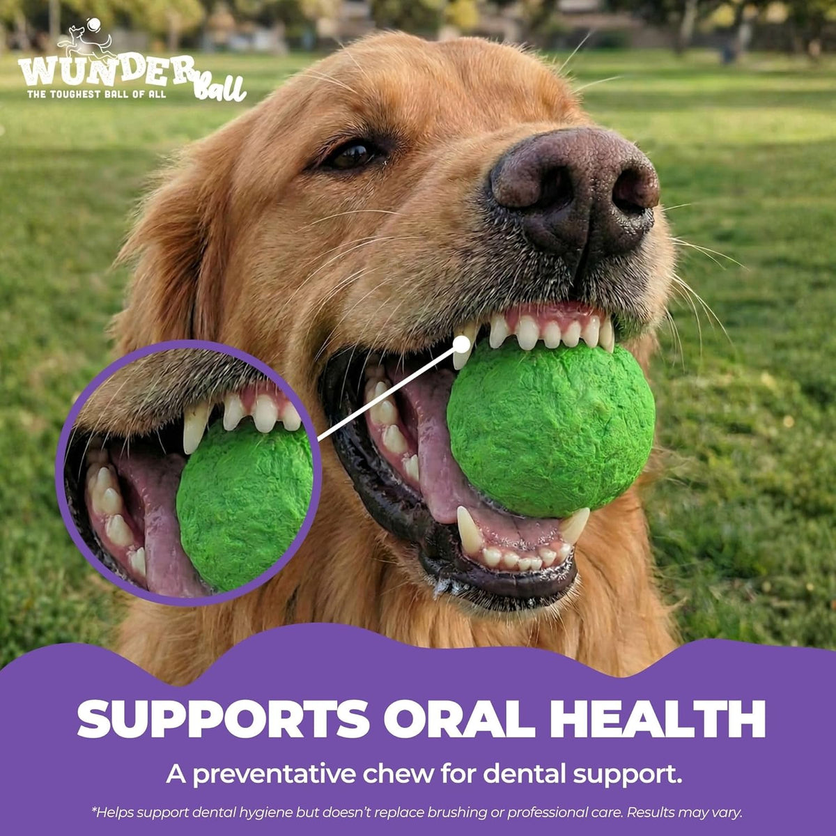 WUNDERball — Rubber Fetch Ball