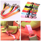 Adjustable Dog Car Travel Tether