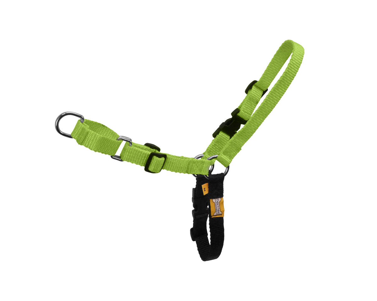 cuteNfuzzy Comfort Walk Harness