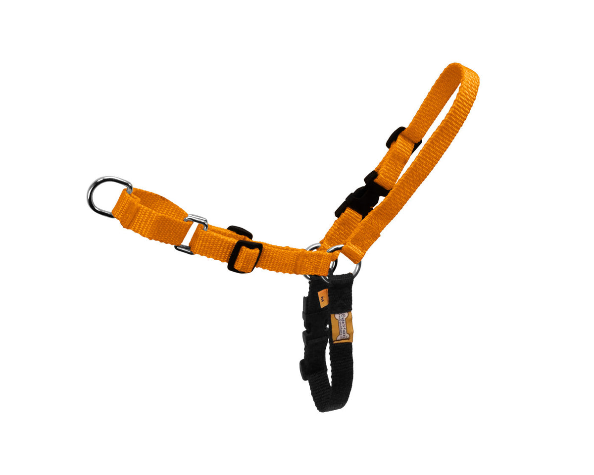 cuteNfuzzy Comfort Walk Harness