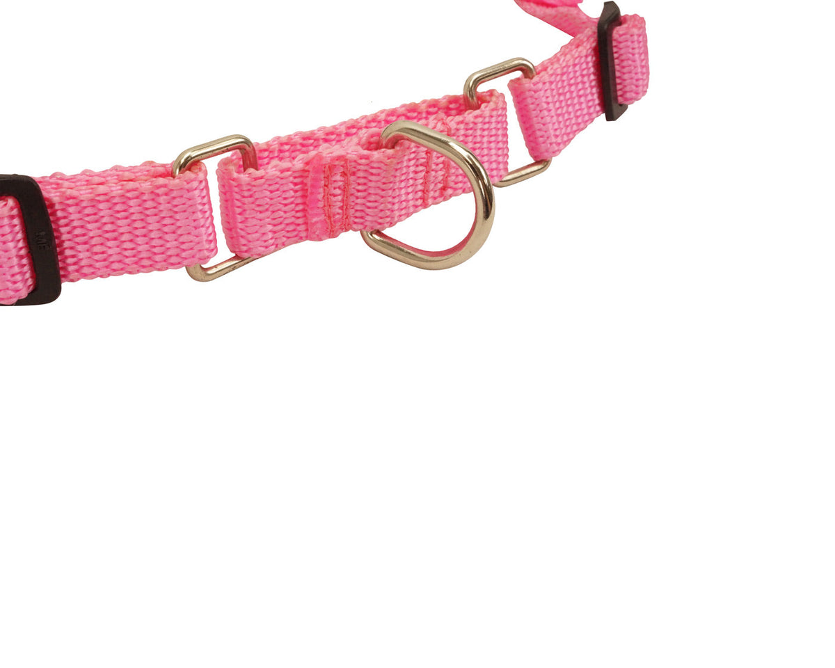 cuteNfuzzy Comfort Walk Harness