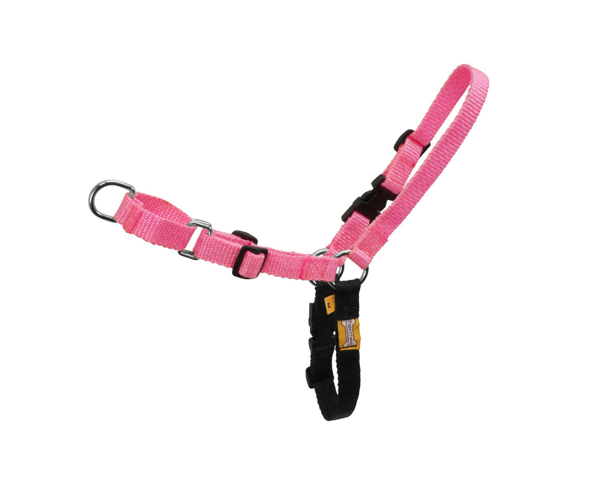 cuteNfuzzy Comfort Walk Harness