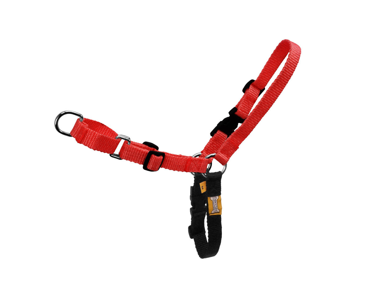 cuteNfuzzy Comfort Walk Harness