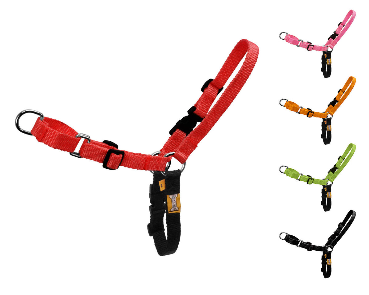 cuteNfuzzy Comfort Walk Harness