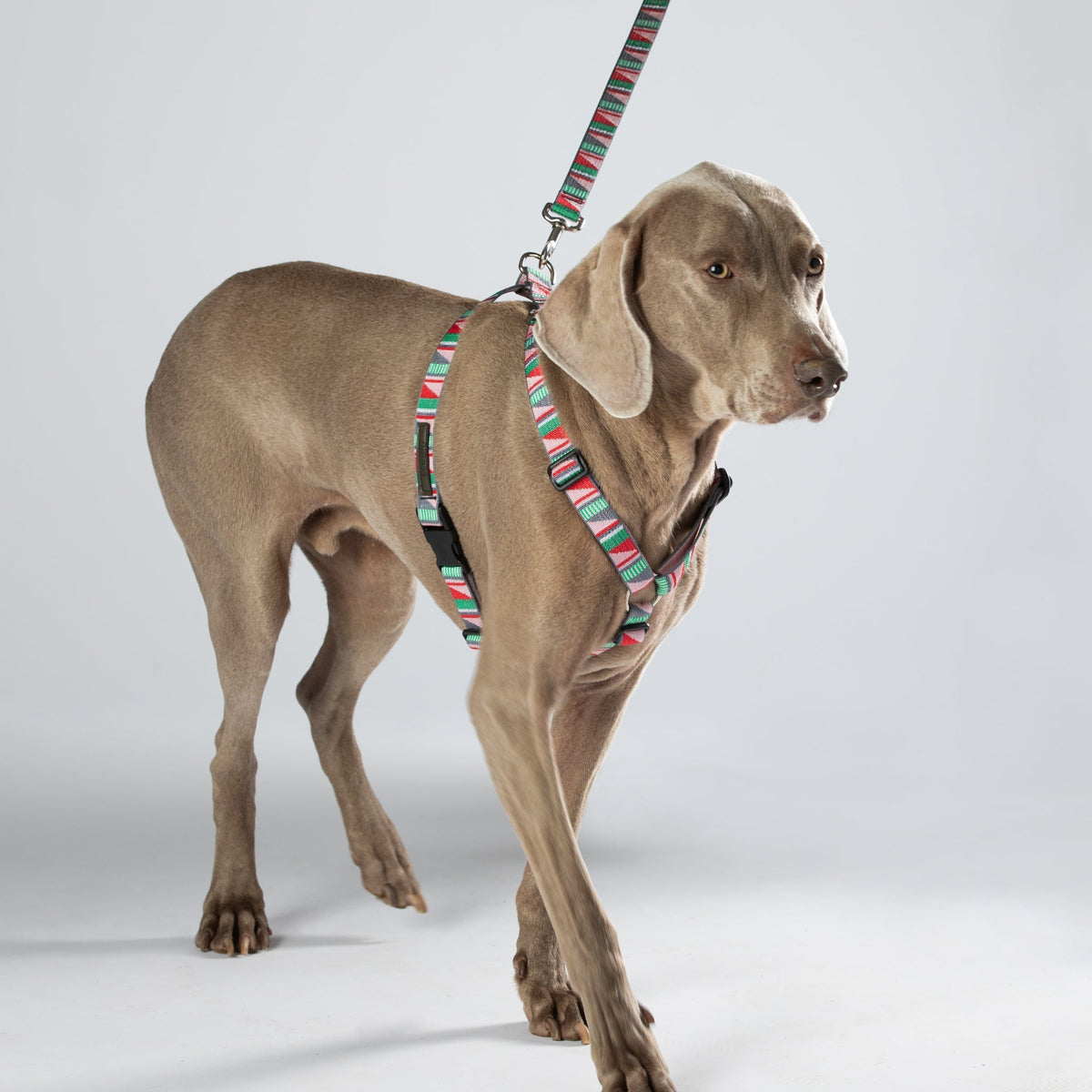 Luwello Escape Free Harness — 3/4-inch