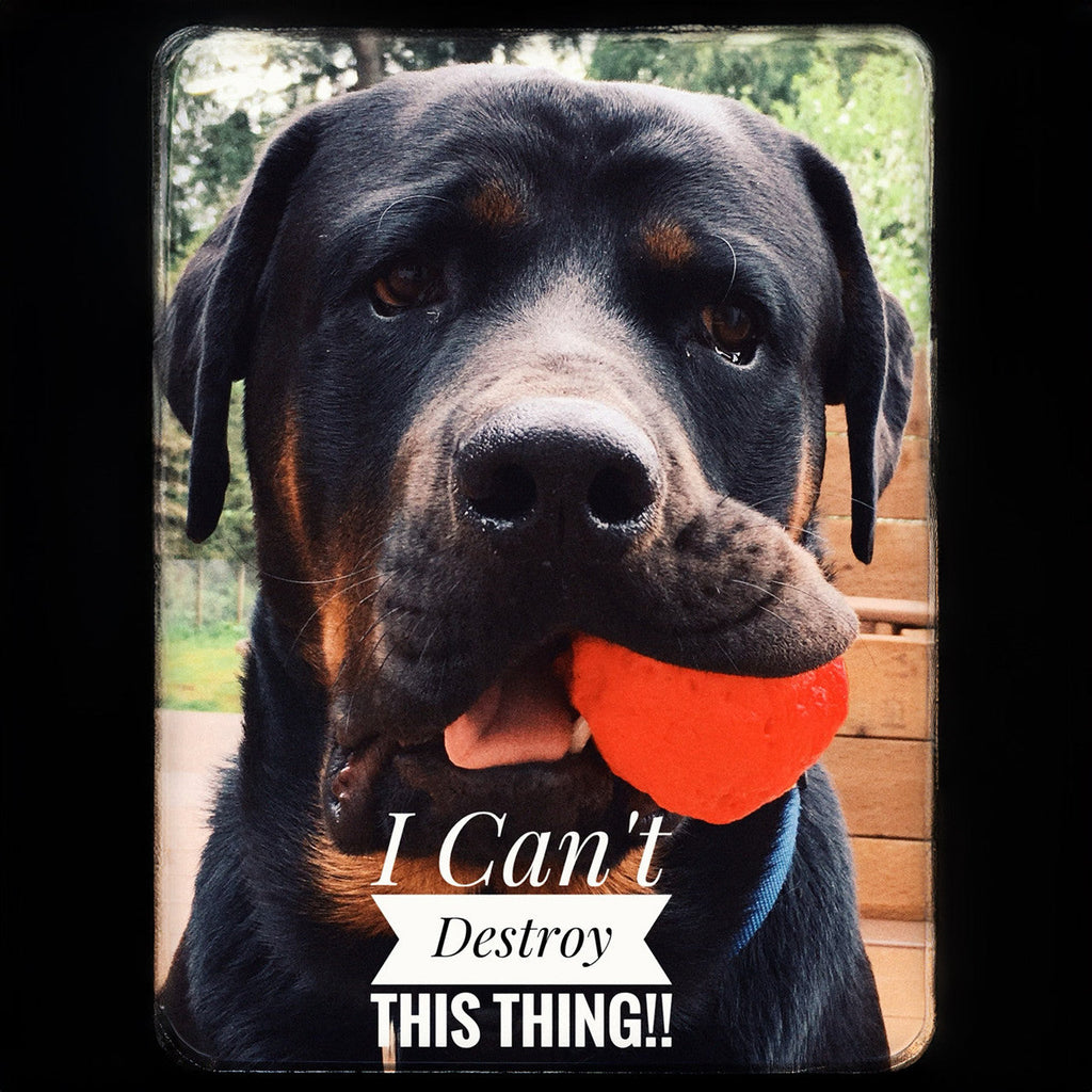 WUNDERball — Rubber Fetch Ball