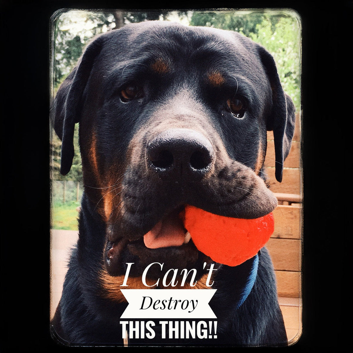 WUNDERball — Rubber Fetch Ball