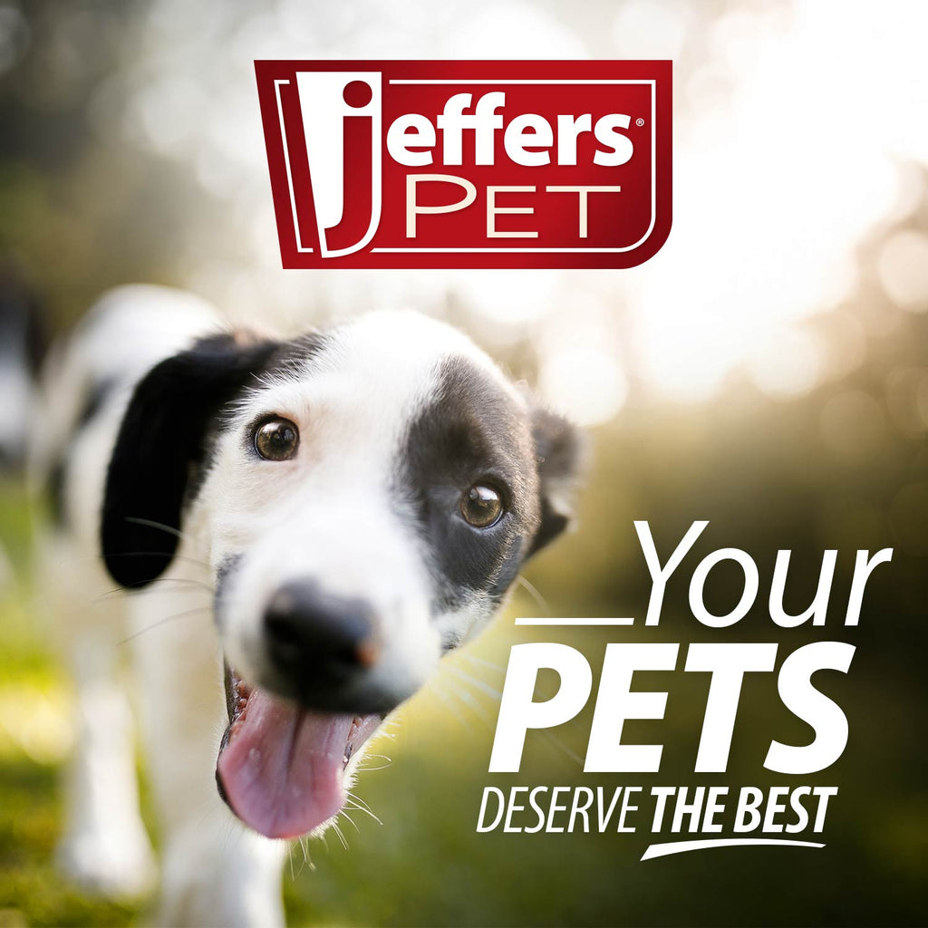 Jeffers Wavy Ring Rubber Tug Toy