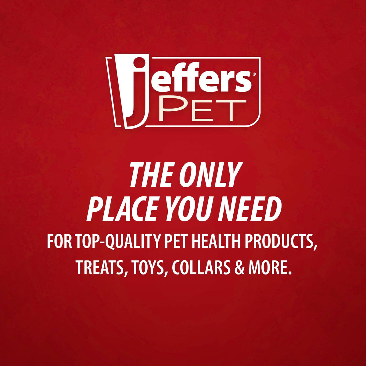 Jeffers Wavy Ring Rubber Tug Toy
