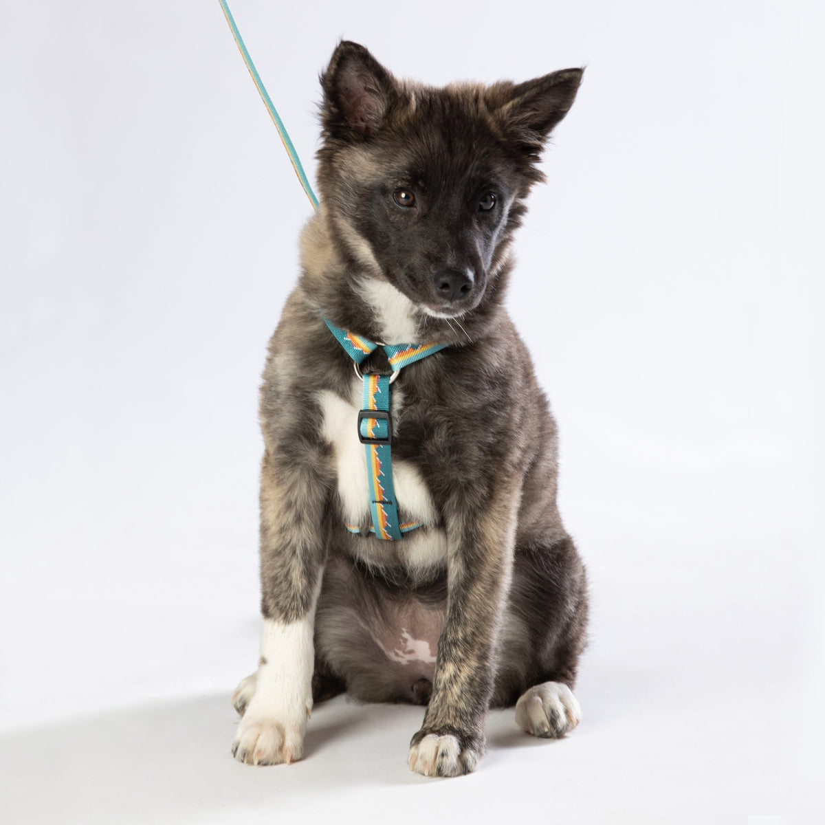 Luwello Escape Free Harness — 3/4-inch