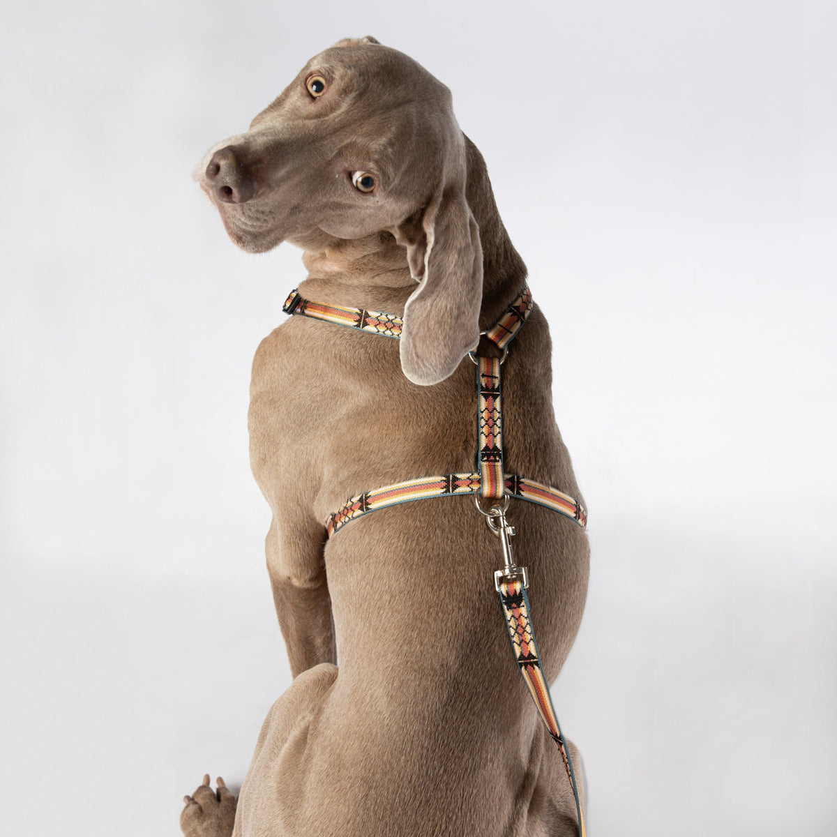 Luwello Escape Free Harness — 3/4-inch