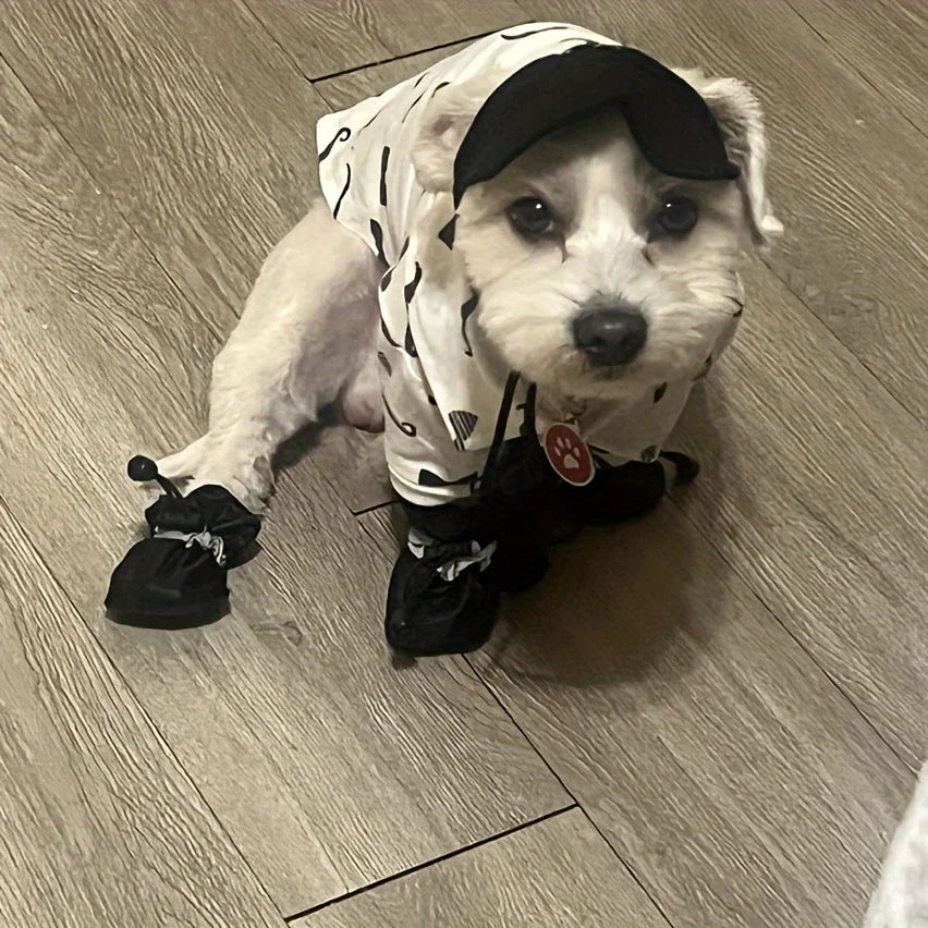 Everyday Dog Rain Booties — Set of 4