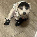 Everyday Dog Rain Booties — Set of 4