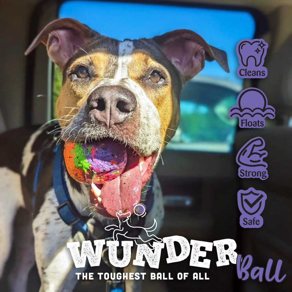 WUNDERball — Rubber Fetch Ball