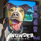 WUNDERball — Rubber Fetch Ball