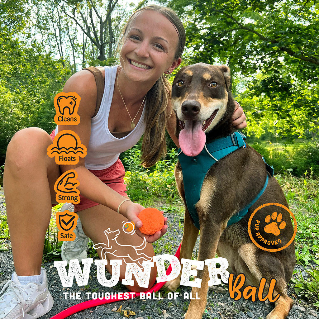 WUNDERball — Rubber Fetch Ball
