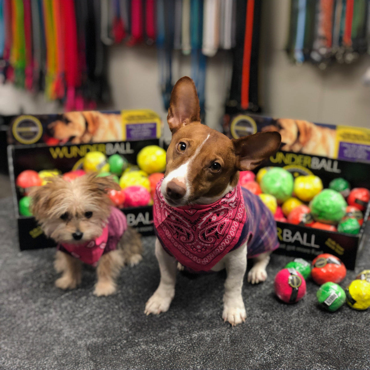 WUNDERball — Rubber Fetch Ball
