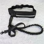 Hands-Free Bungee Dog Leash with Waist Belt