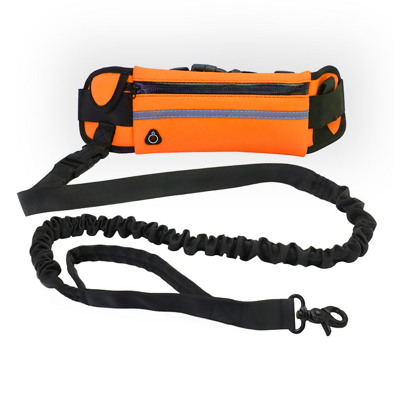 Hands-Free Bungee Dog Leash with Waist Belt