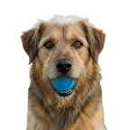 SodaPup Glitter Ball — Fetch & Treat Toy
