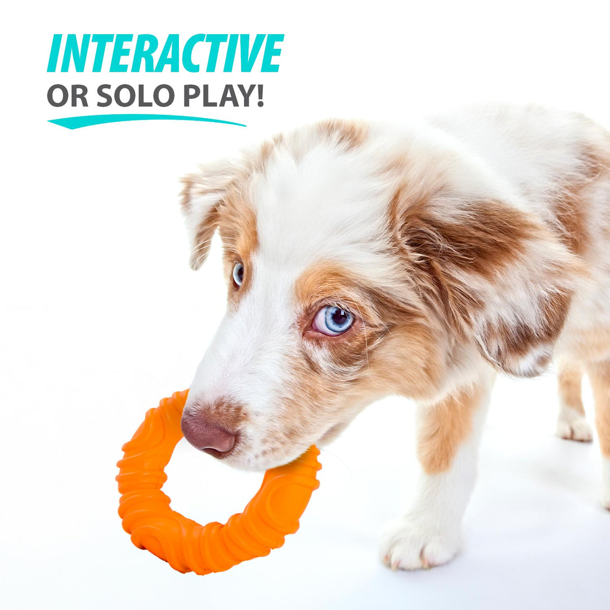 Jeffers Wavy Ring Rubber Tug Toy