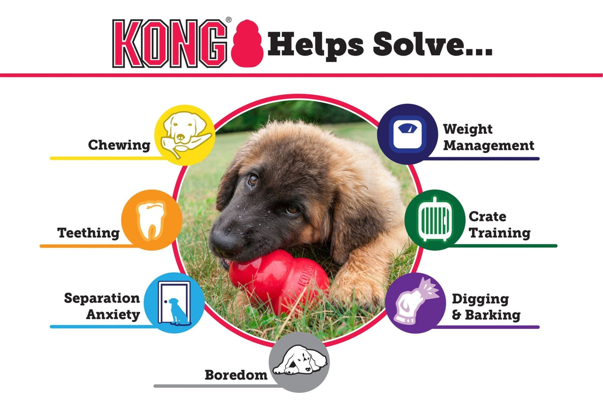 KONG Extreme — Treat-Stuffing Dog Toy