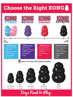 KONG Extreme — Treat-Stuffing Dog Toy