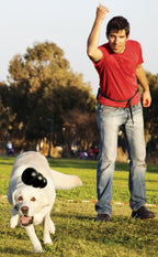KONG Extreme — Treat-Stuffing Dog Toy