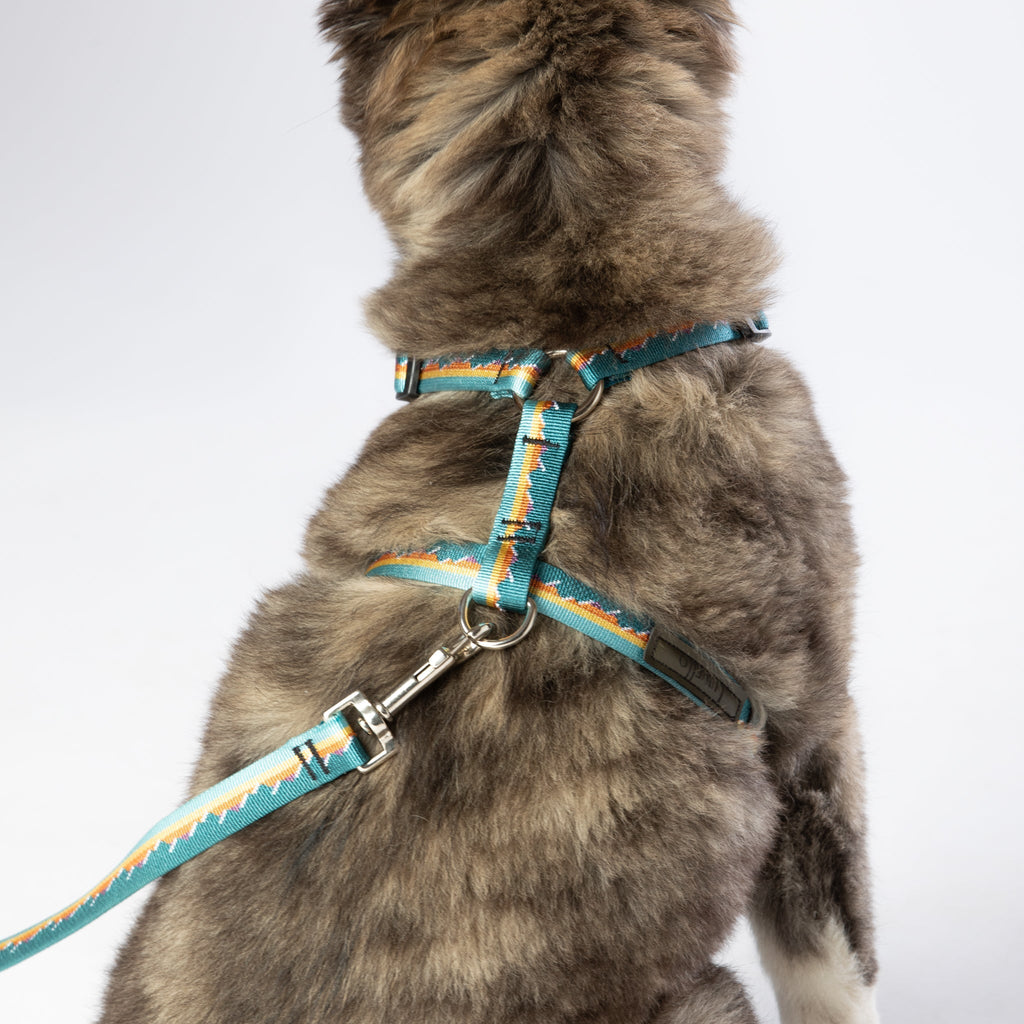 Luwello Escape Free Harness — 3/4-inch