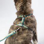Luwello Escape Free Harness — 3/4-inch