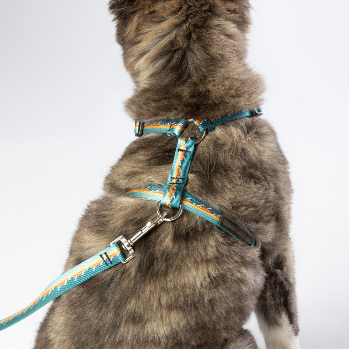 Luwello Escape Free Harness — 3/4-inch