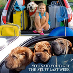Adjustable Pet Car Seat-Belt Tether