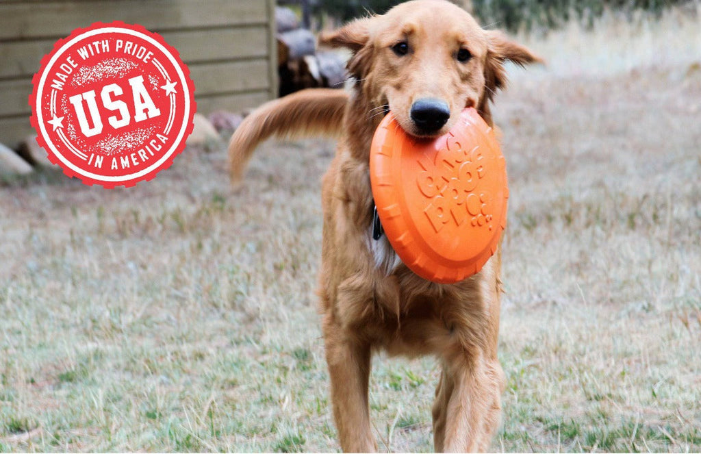 SodaPup Bottle Top Flyer — Rubber Fetch Disc