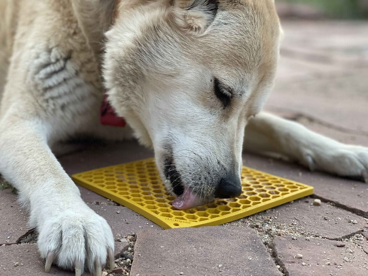SodaPup Honeycomb eMat — Enrichment Lick Mat