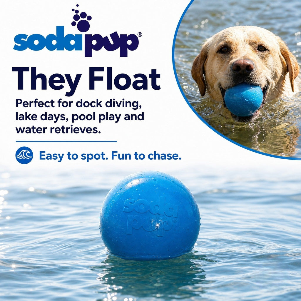 SodaPup Glitter Ball — Fetch & Treat Toy